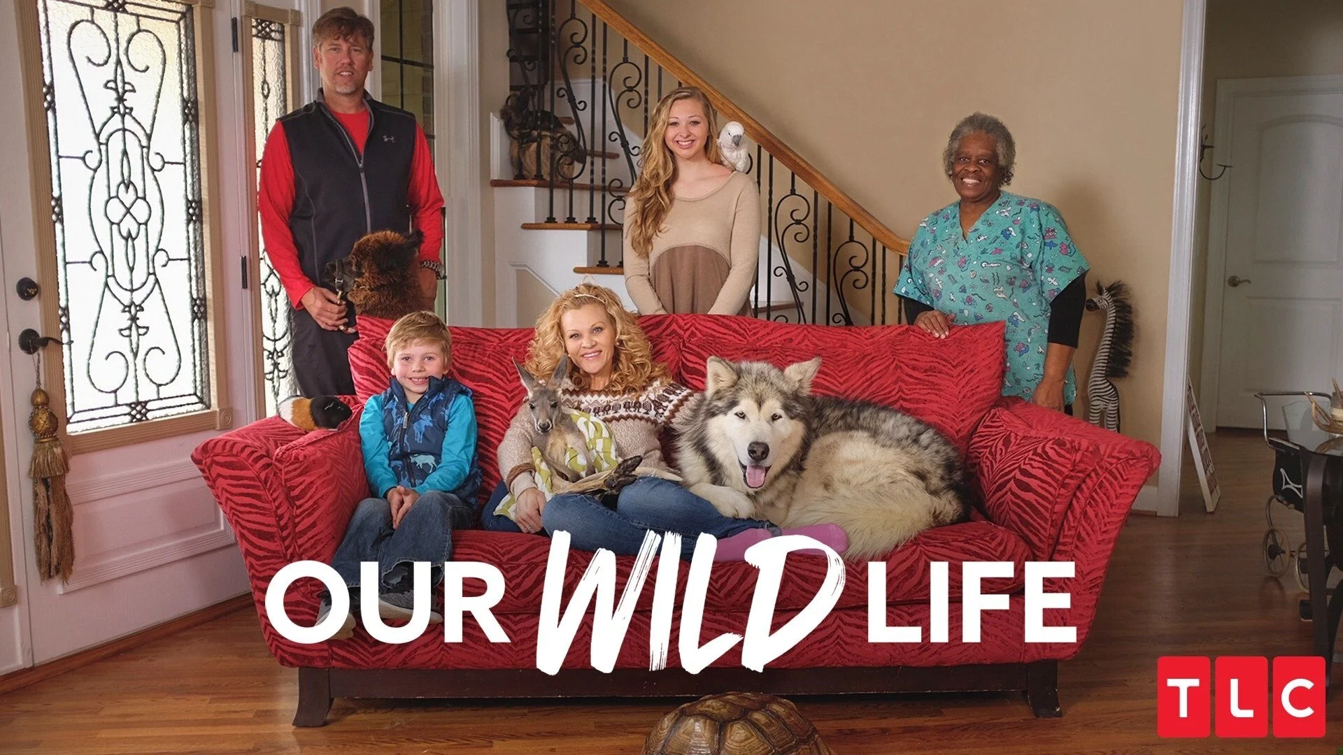 Our Wild Life