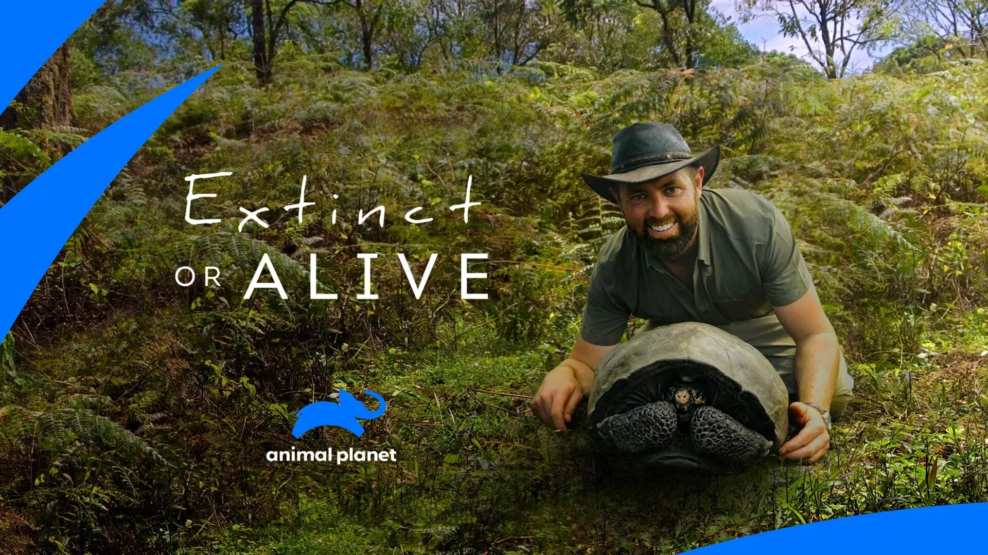 Extinct or Alive
