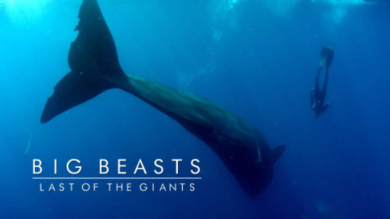 Big Beasts: Last of the Giants