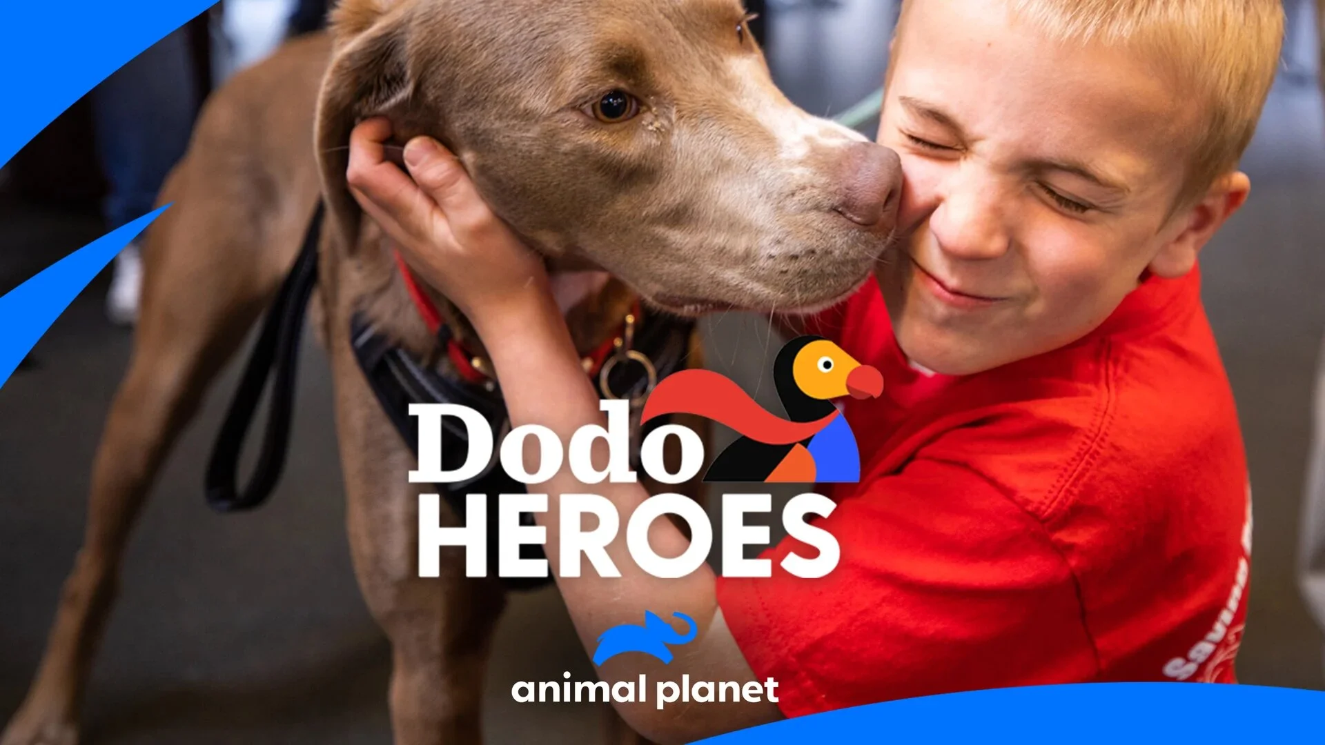 Dodo Heroes