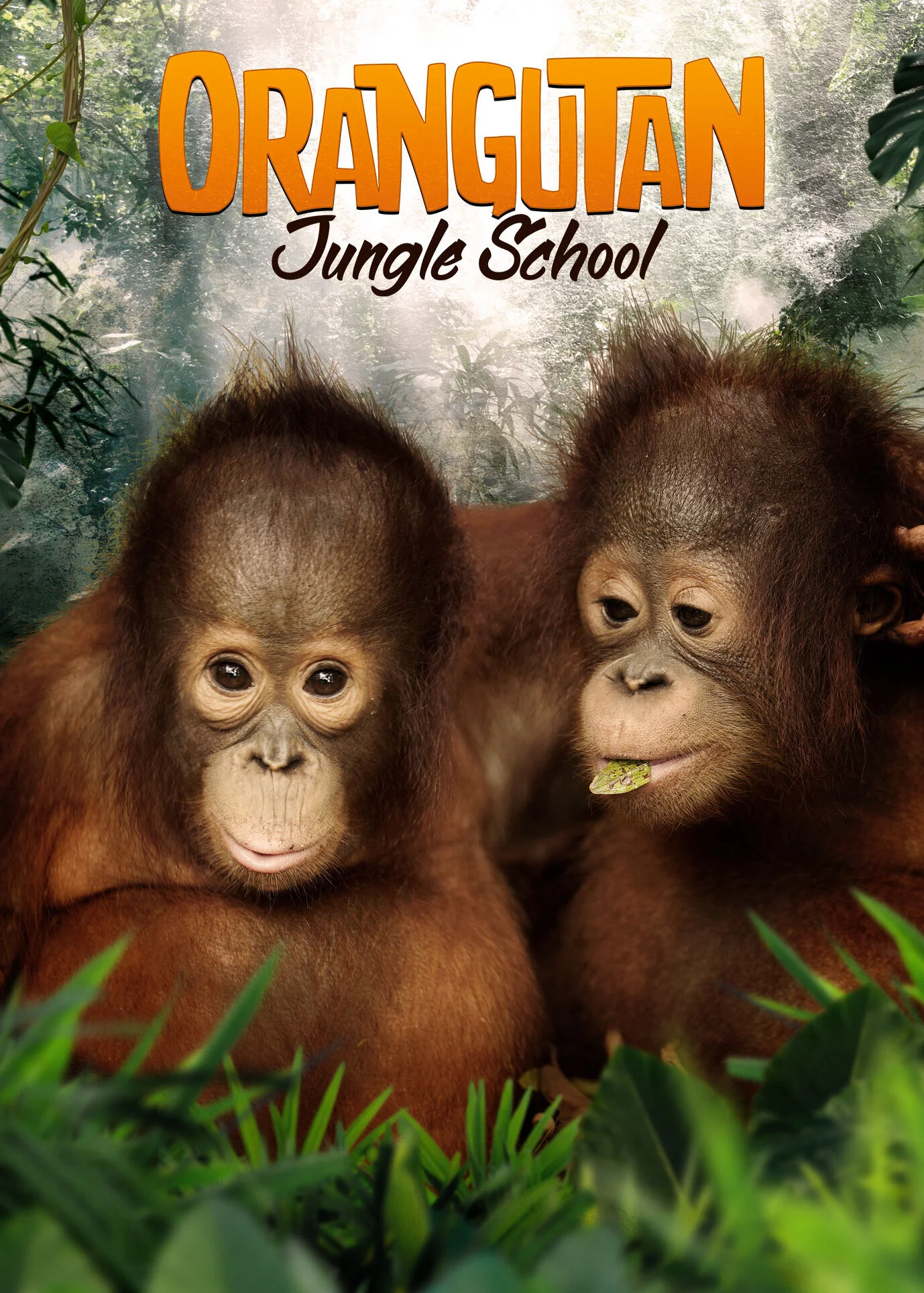 Orangutan Jungle School poster