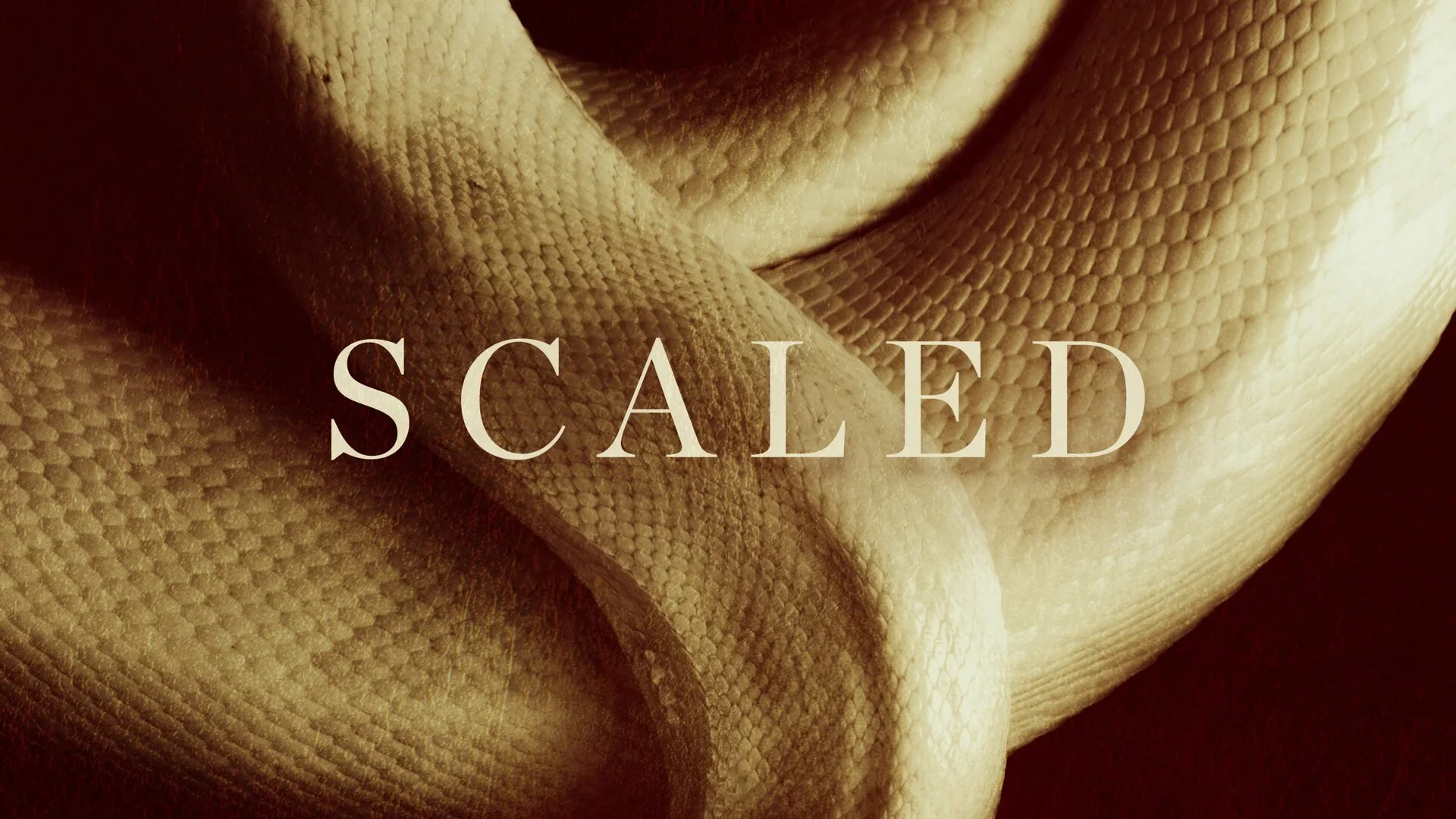 Scaled