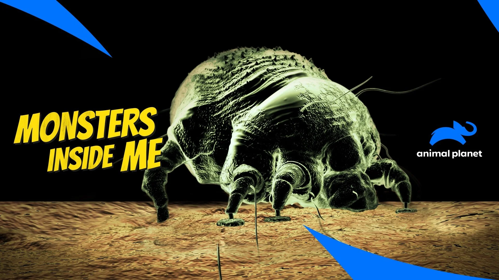 Un parásito dentro de mi