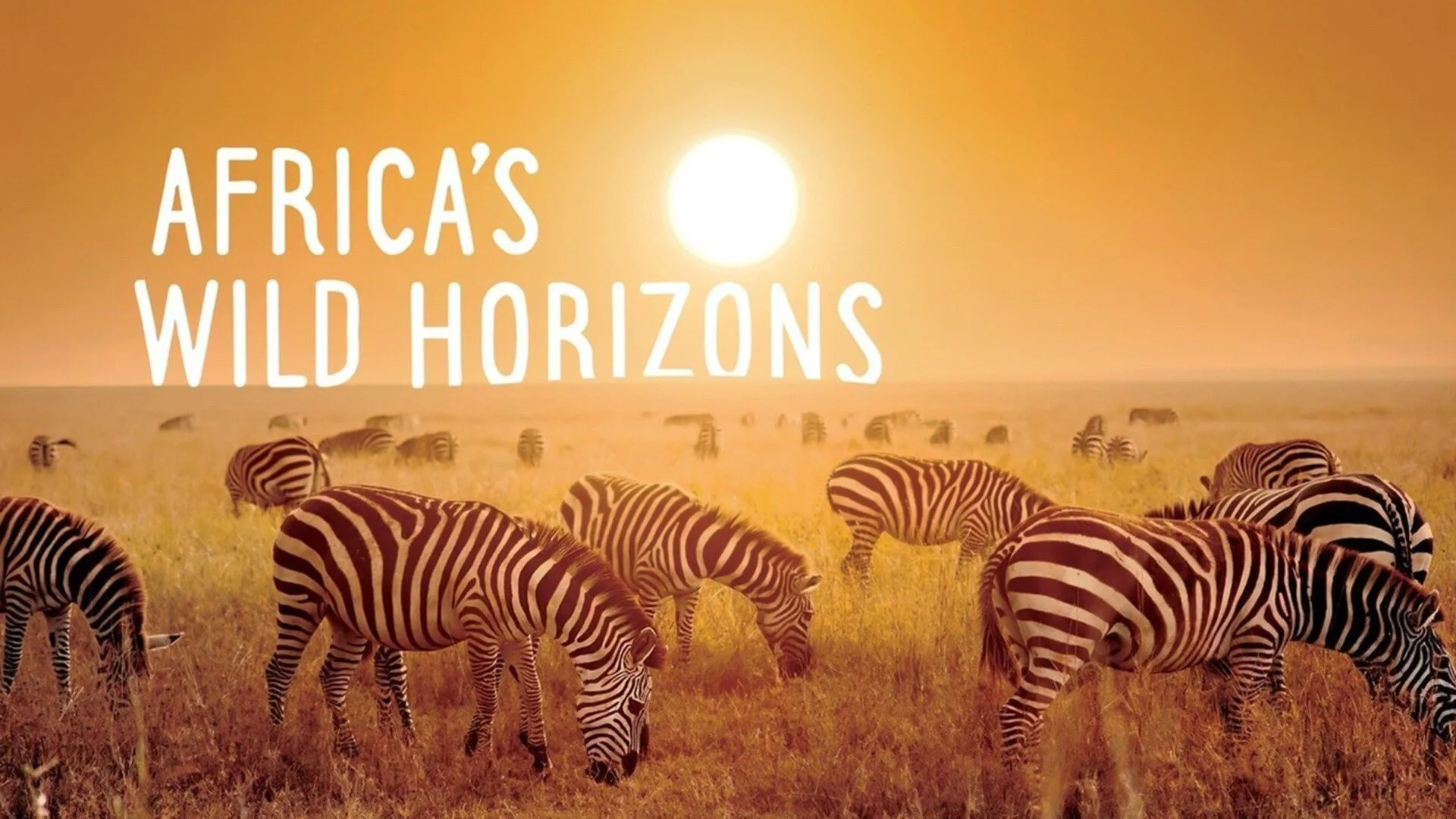 Africa's Wild Horizons