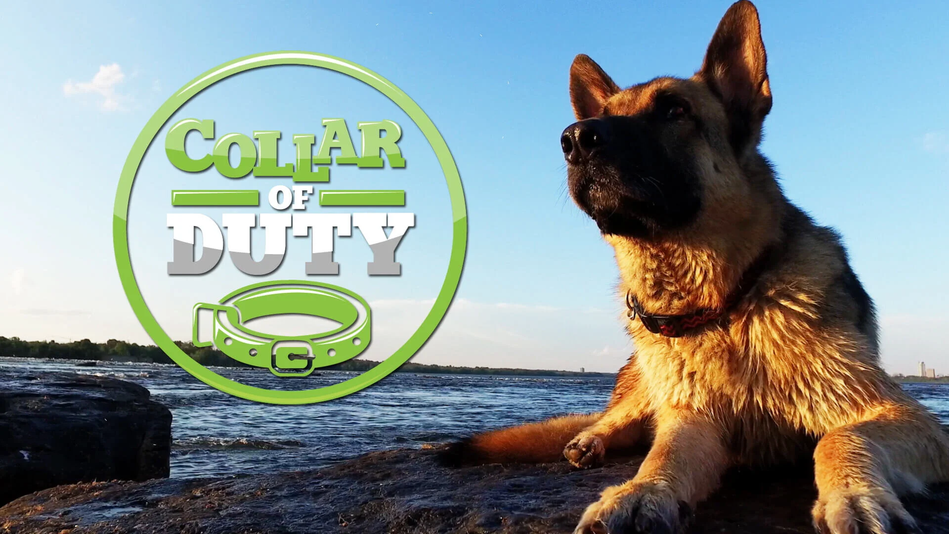 Collar of Duty