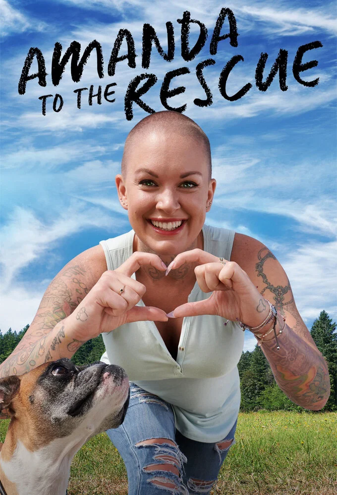 Amanda to the Rescue poster
