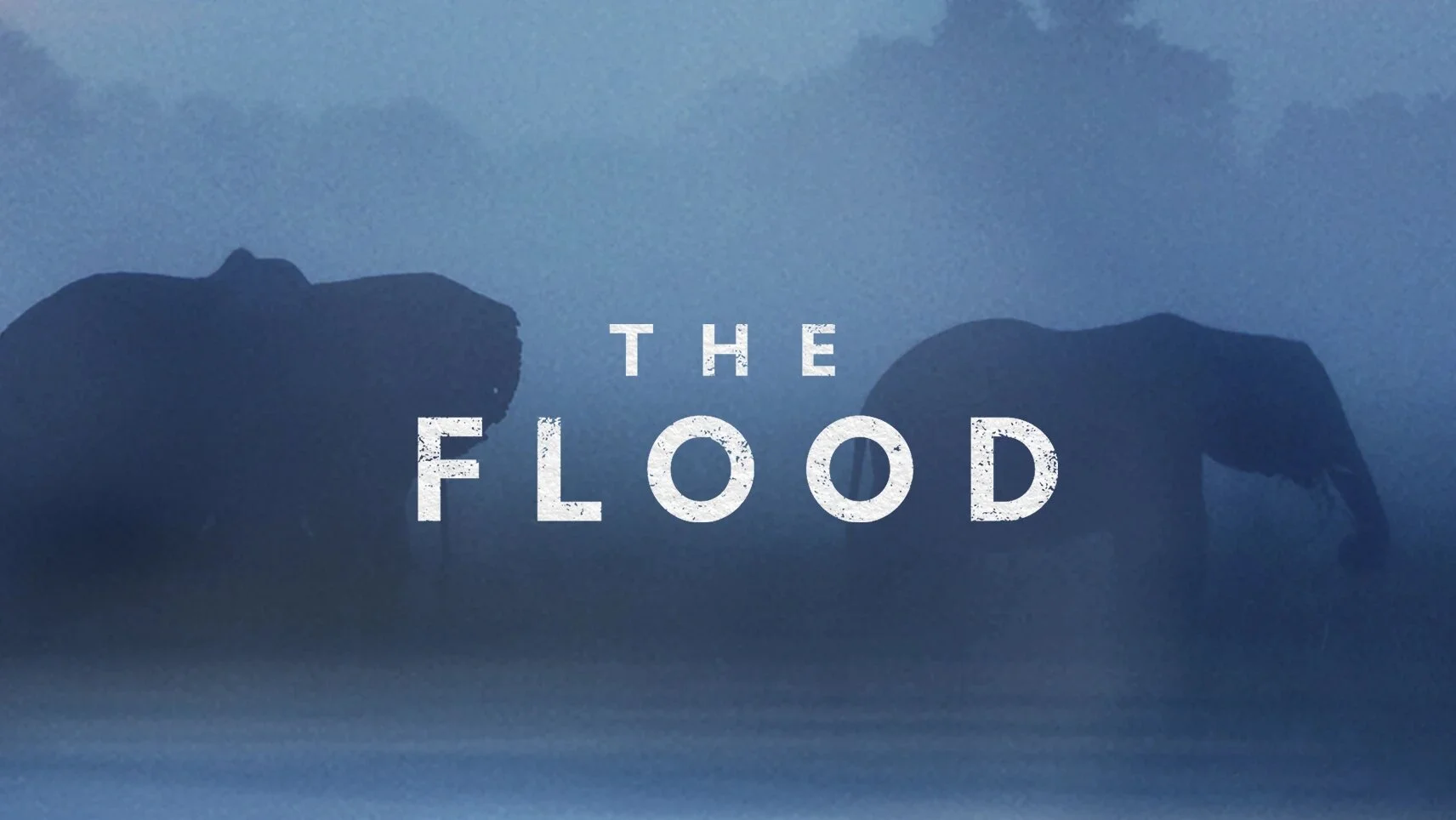 The Flood