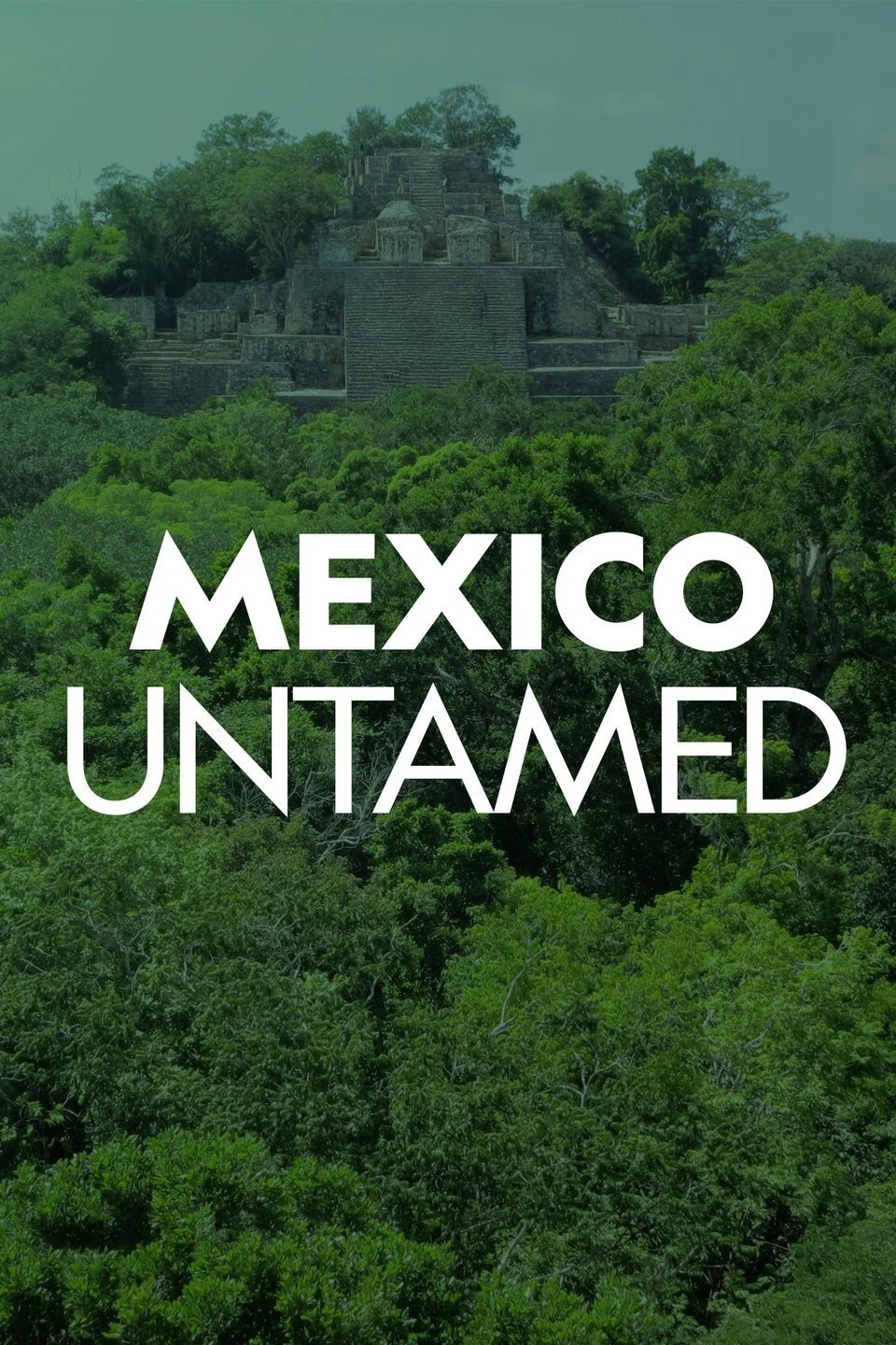 Mexico Untamed poster