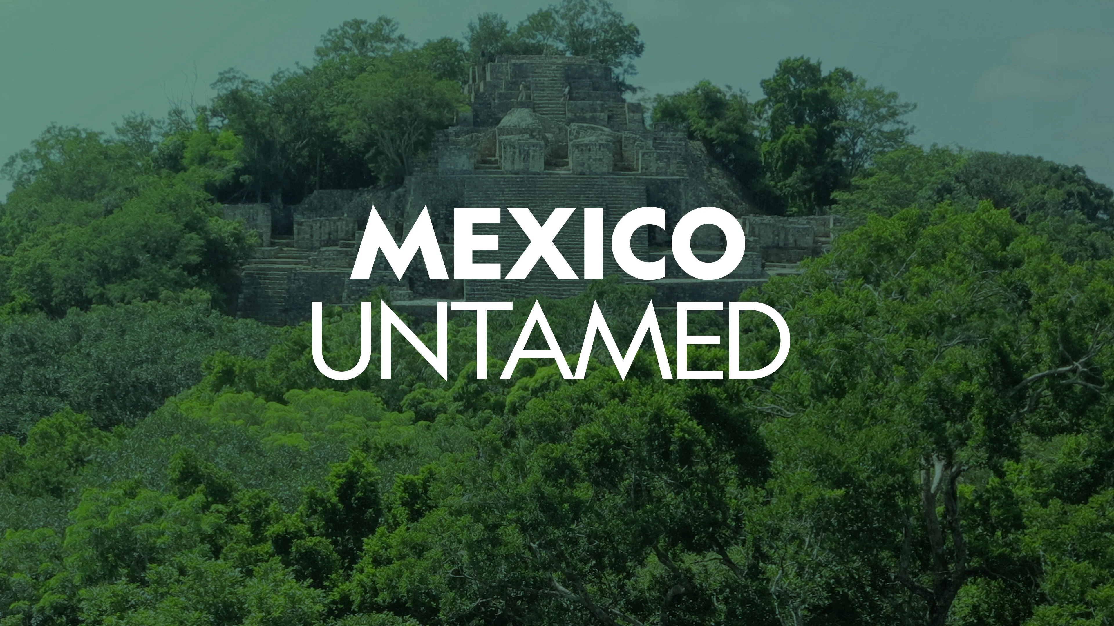 Mexico Untamed