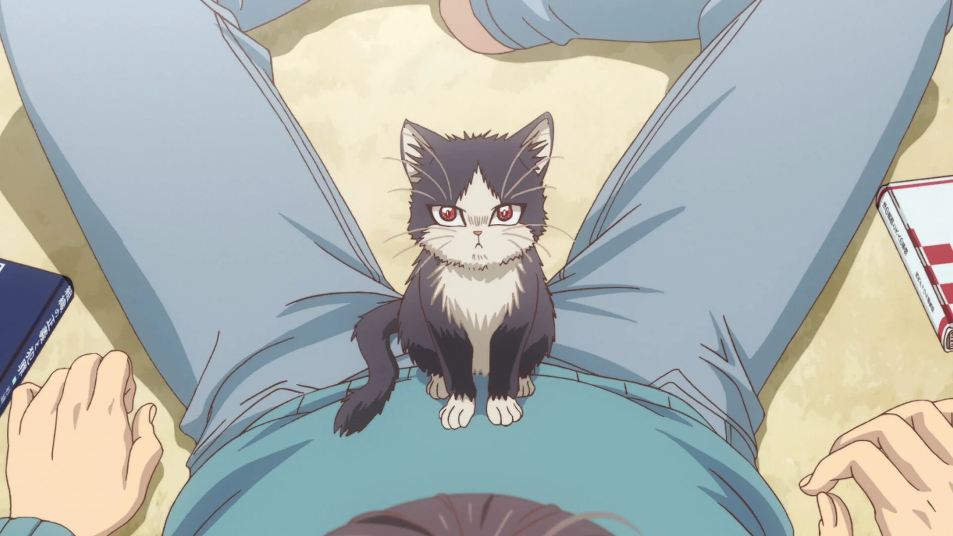Doukyonin wa Hiza, Tokidoki, Atama no Ue.