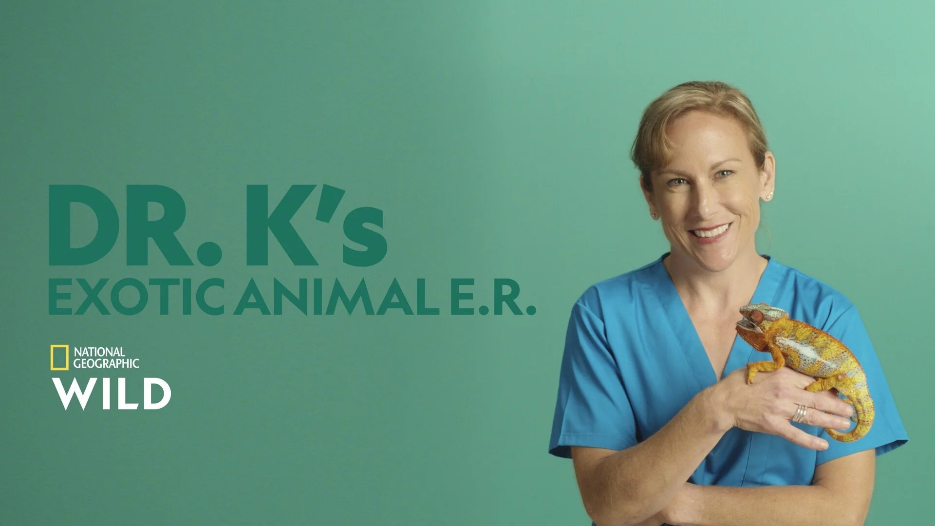 Dr. K's Exotic Animal ER