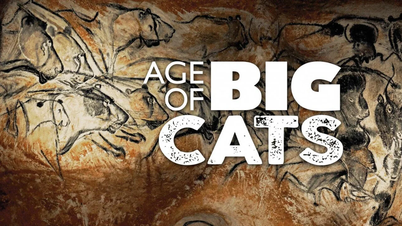 Age of Big Cats