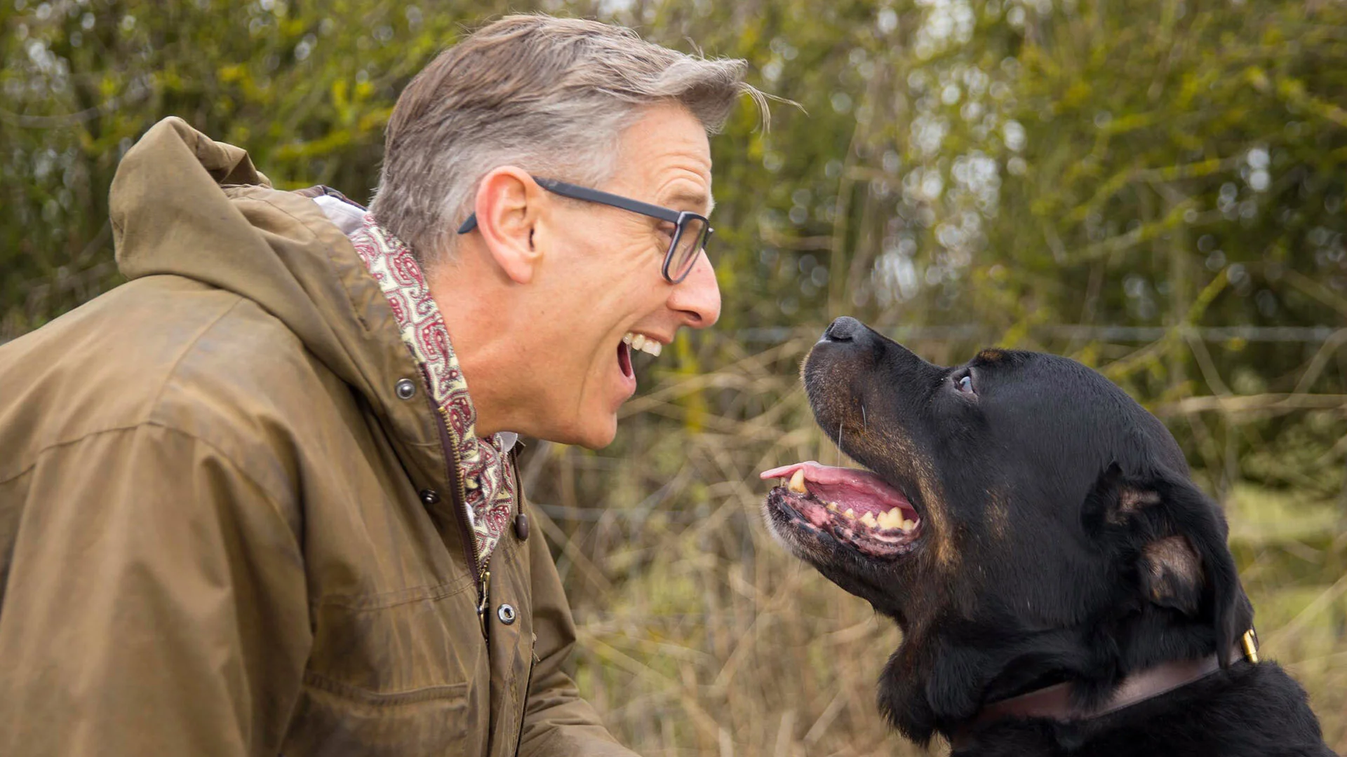 Dogs Behaving (Very) Badly