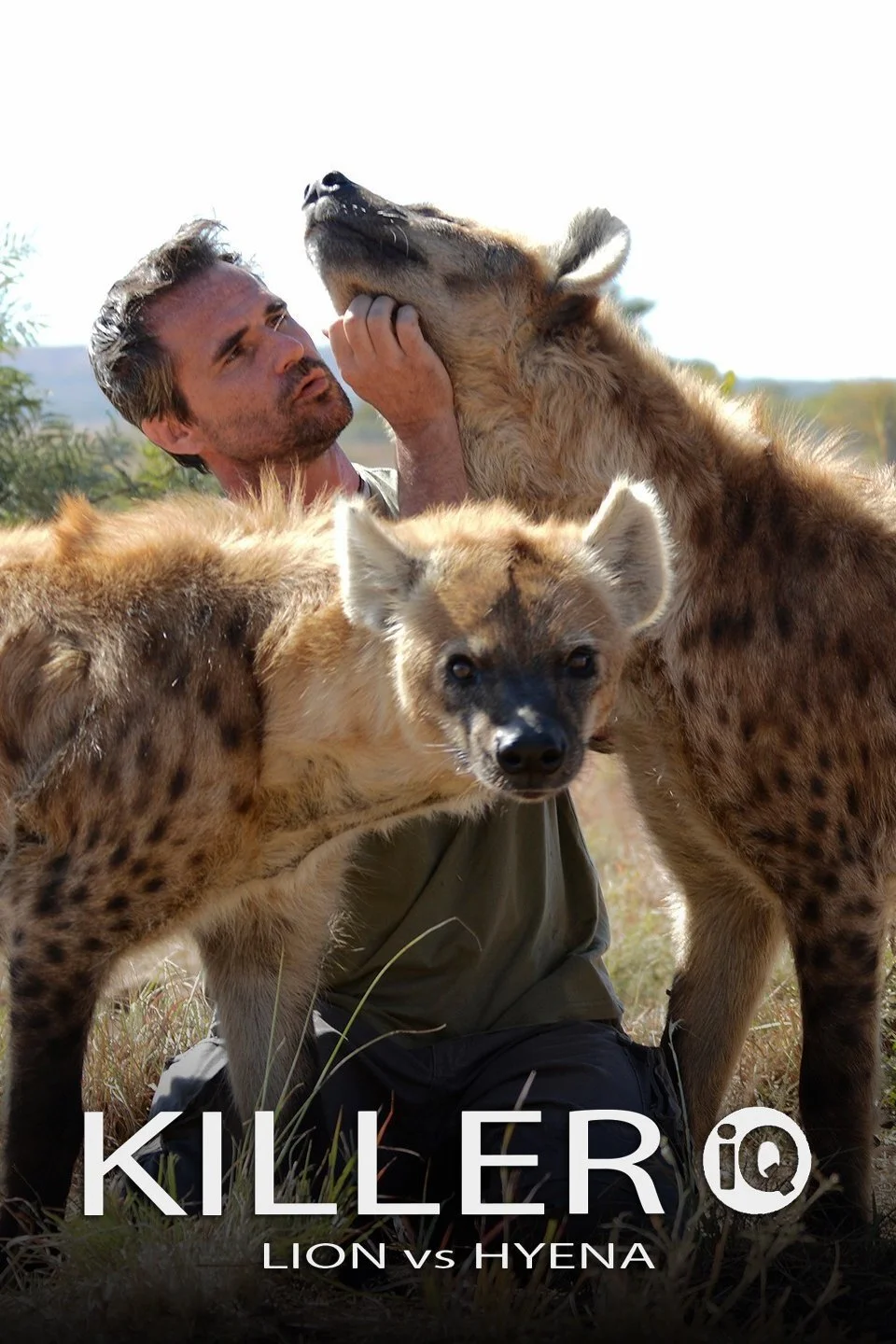 Killer IQ: Lion vs. Hyena poster