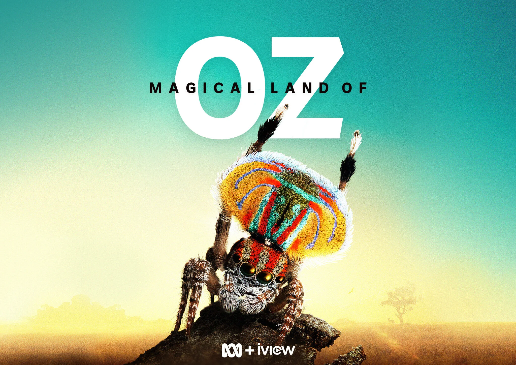 Magical Land of Oz
