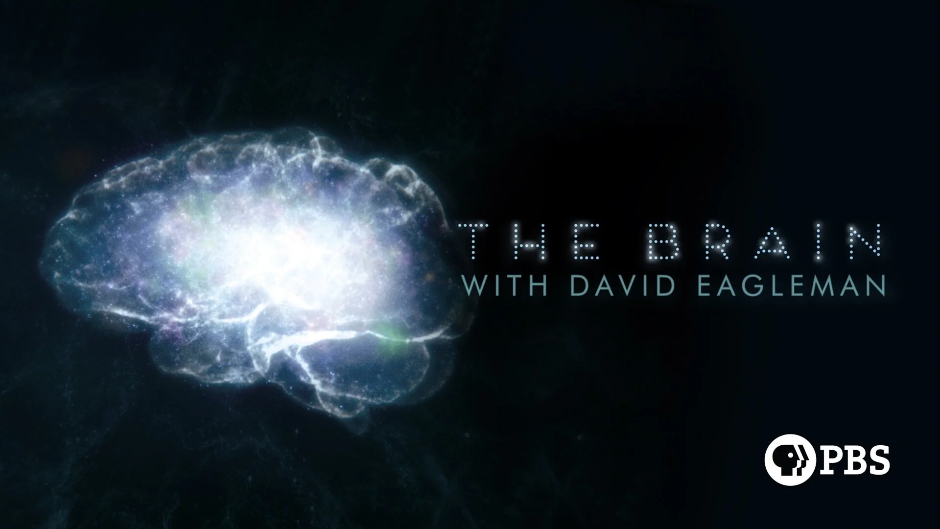 The Brain with David Eagleman