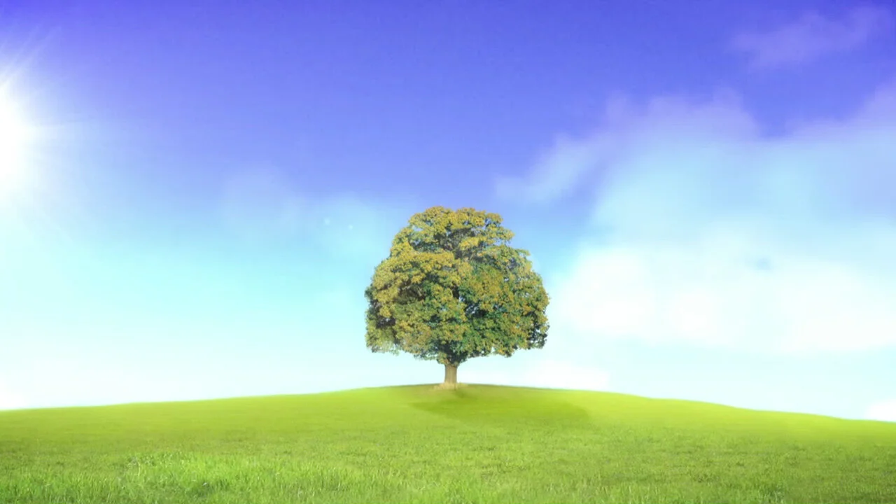 Who Do You Think You Are?