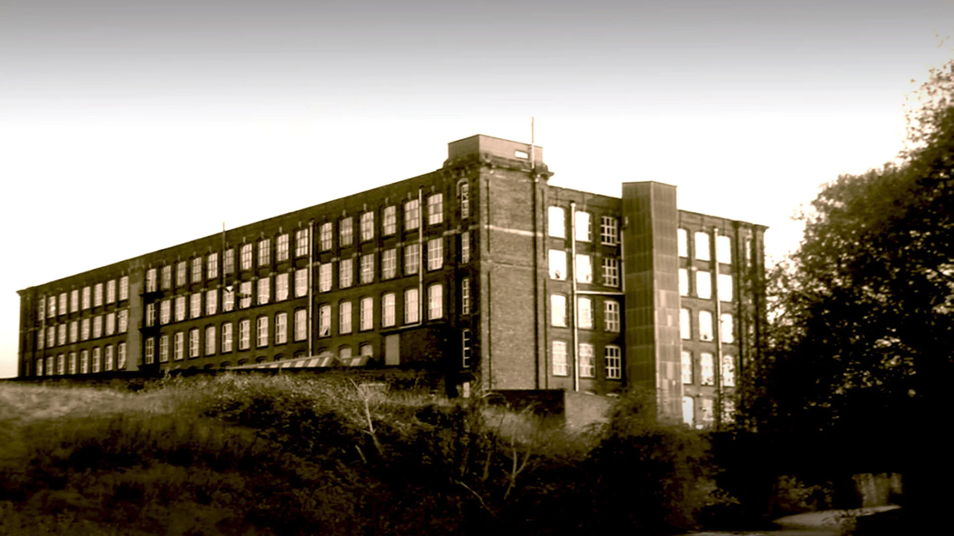 All Our Working Lives