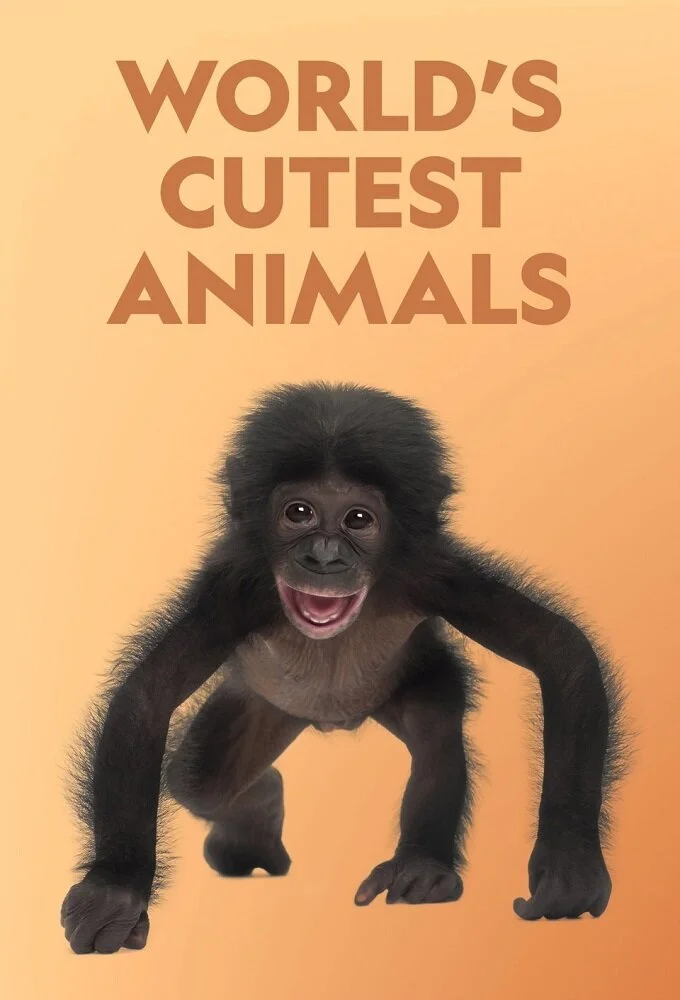 World's Cutest Animals poster
