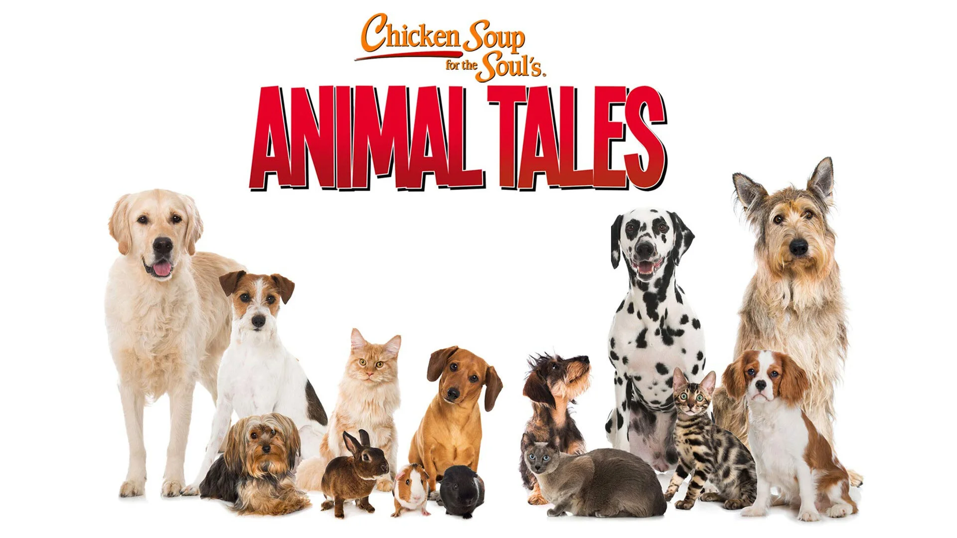 Chicken Soup for the Soul's Animal Tales