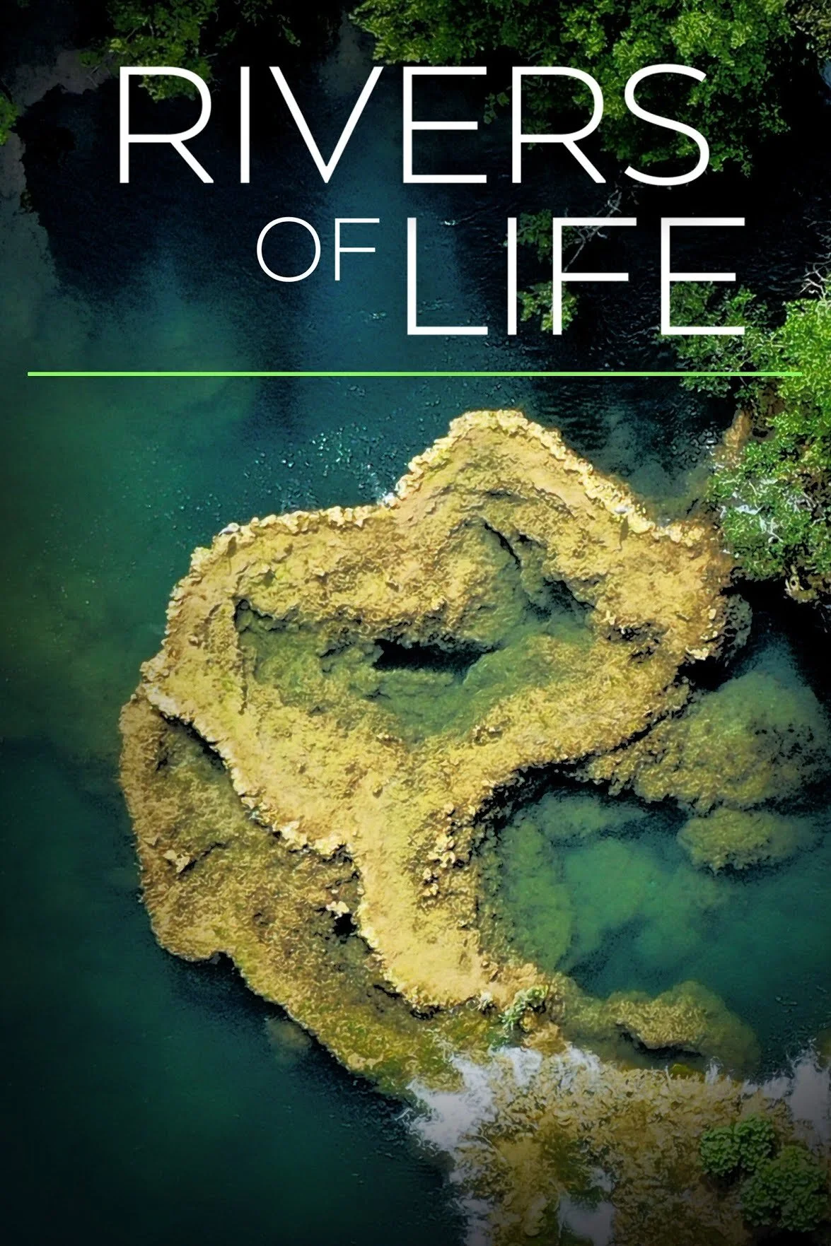Rivers of Life poster