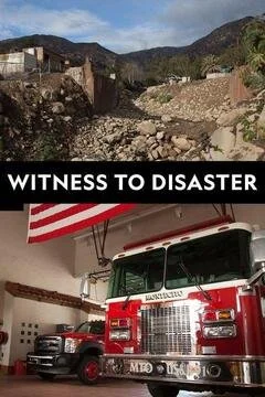 Affiche de Witness to Disaster