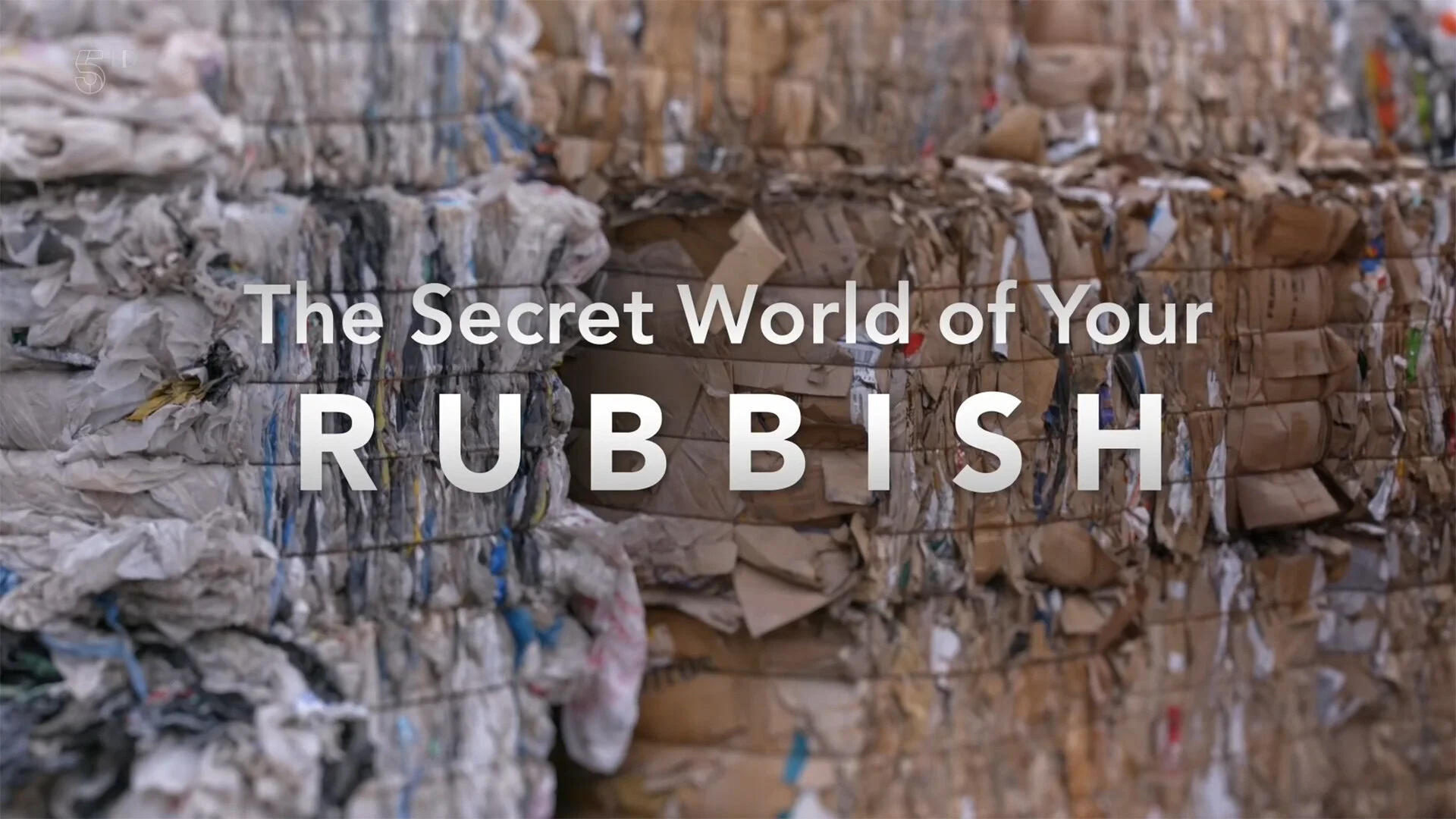 The Secret World of Your Rubbish