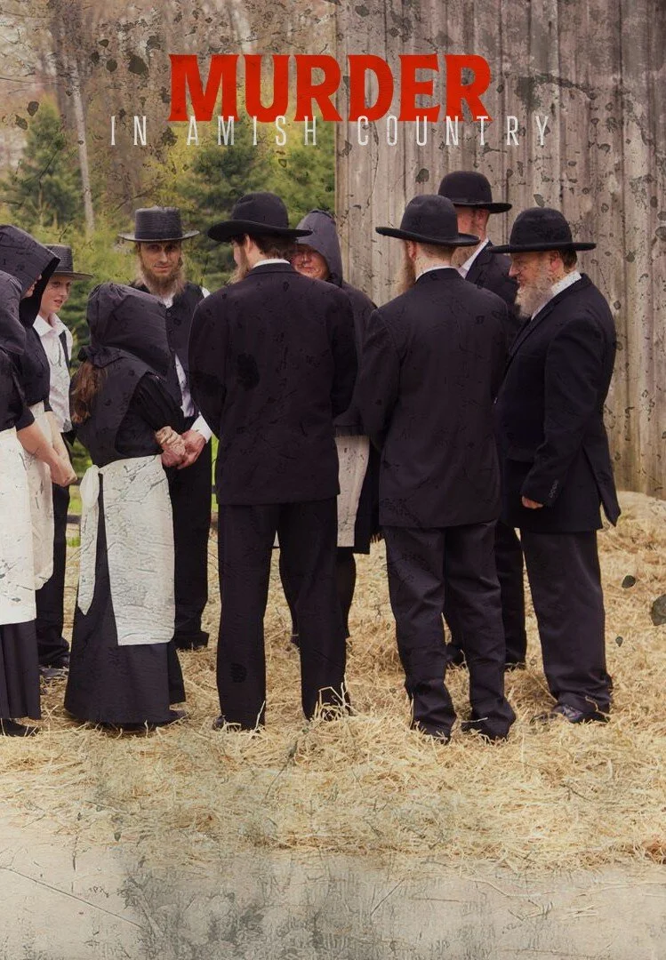 Affiche de Murder in Amish Country