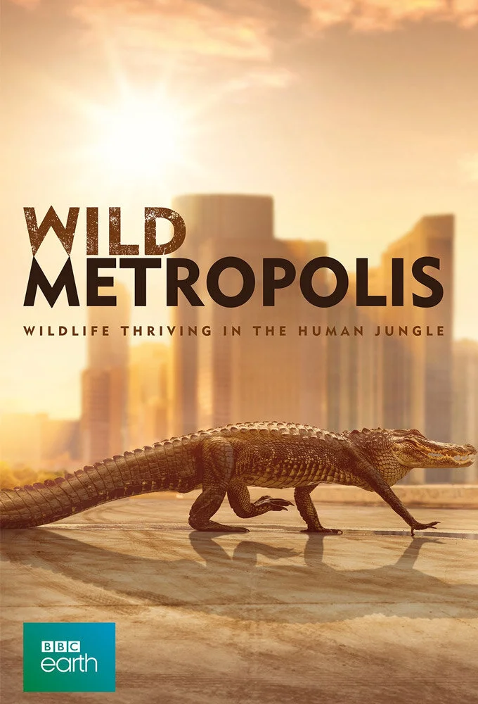 Wild Metropolis poster