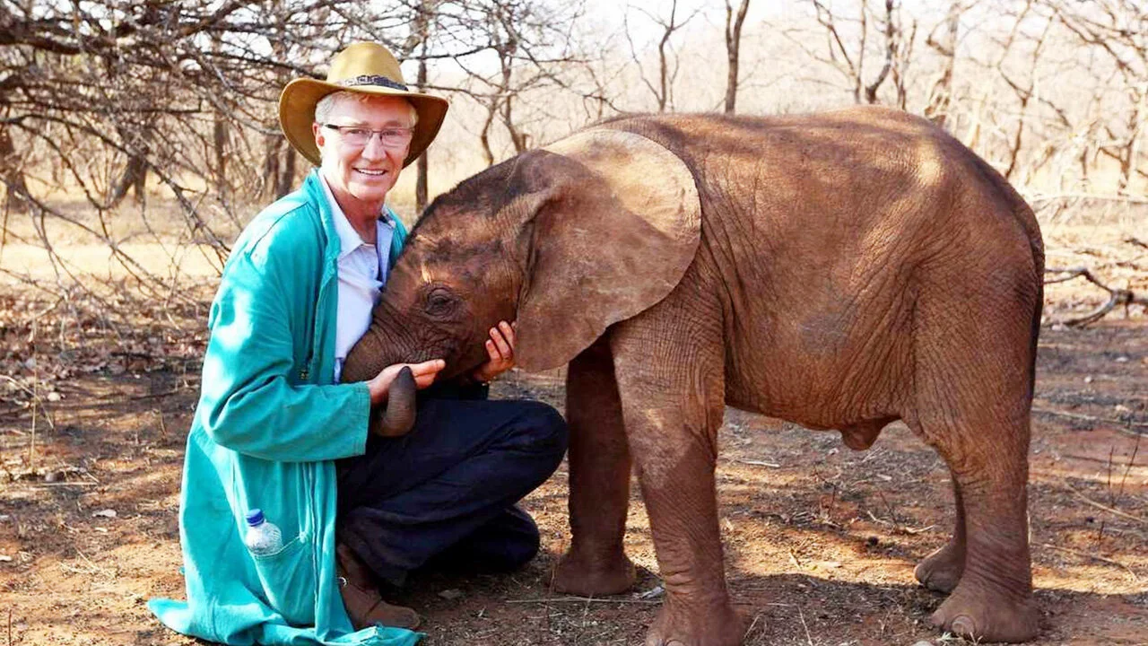 Paul O'Grady's Animal Orphans