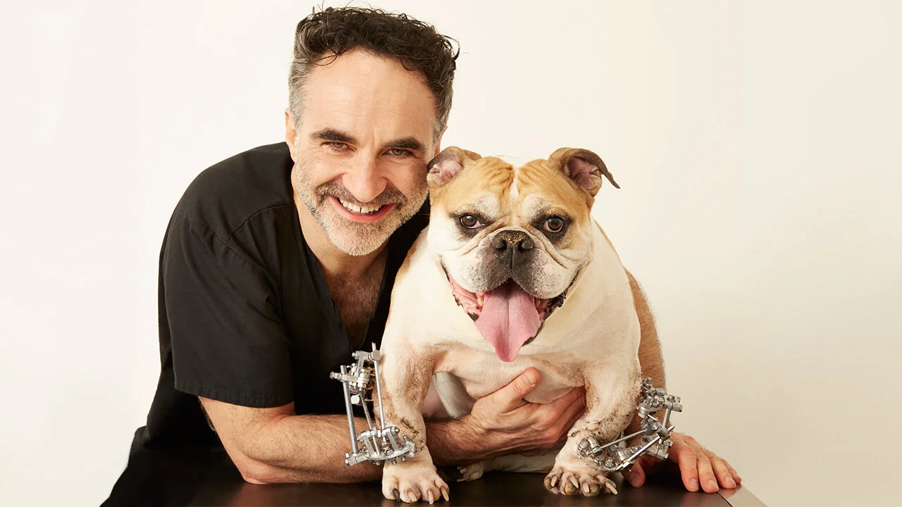 The Supervet: Noel Fitzpatrick