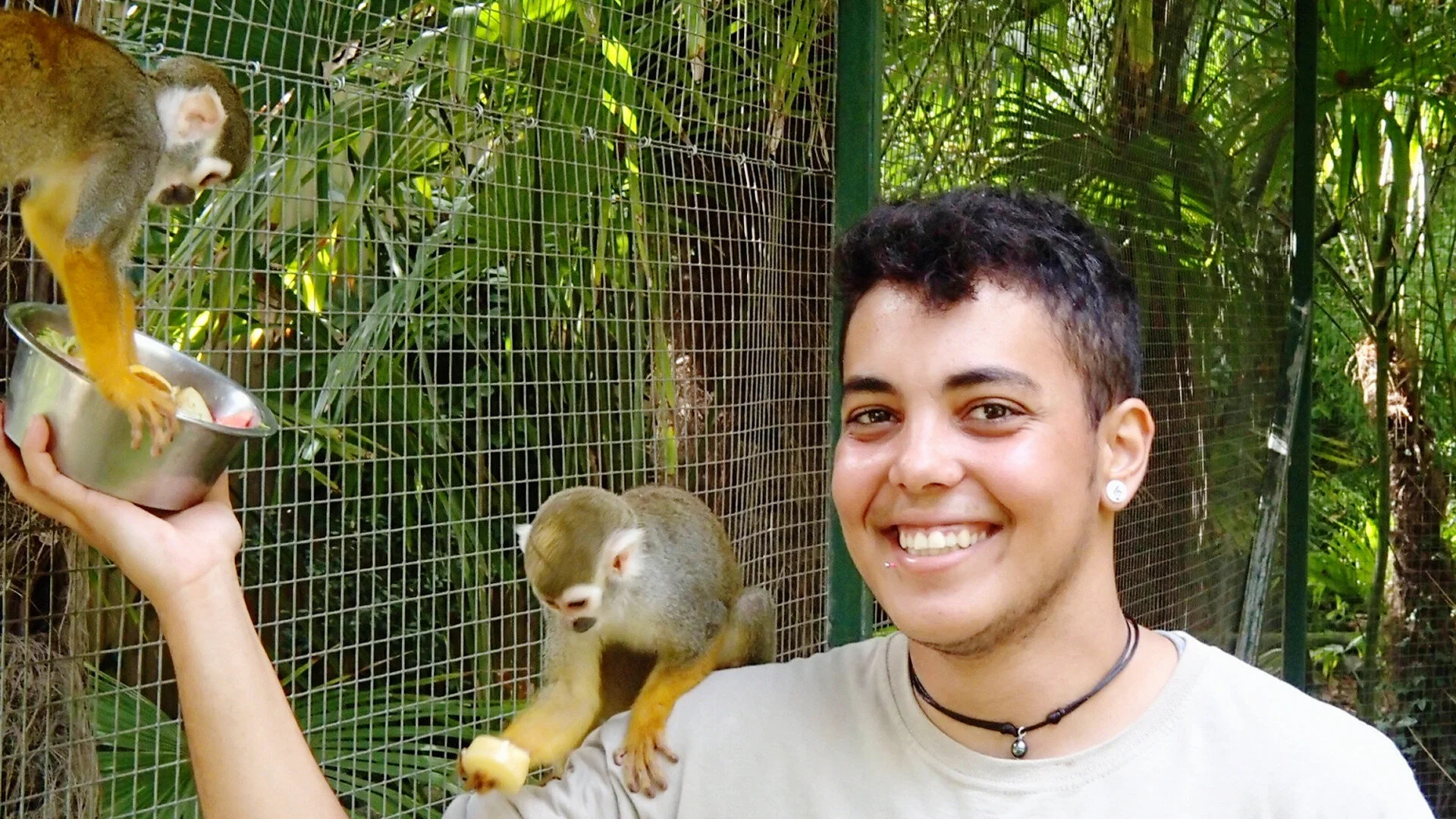 Une saison au zoo