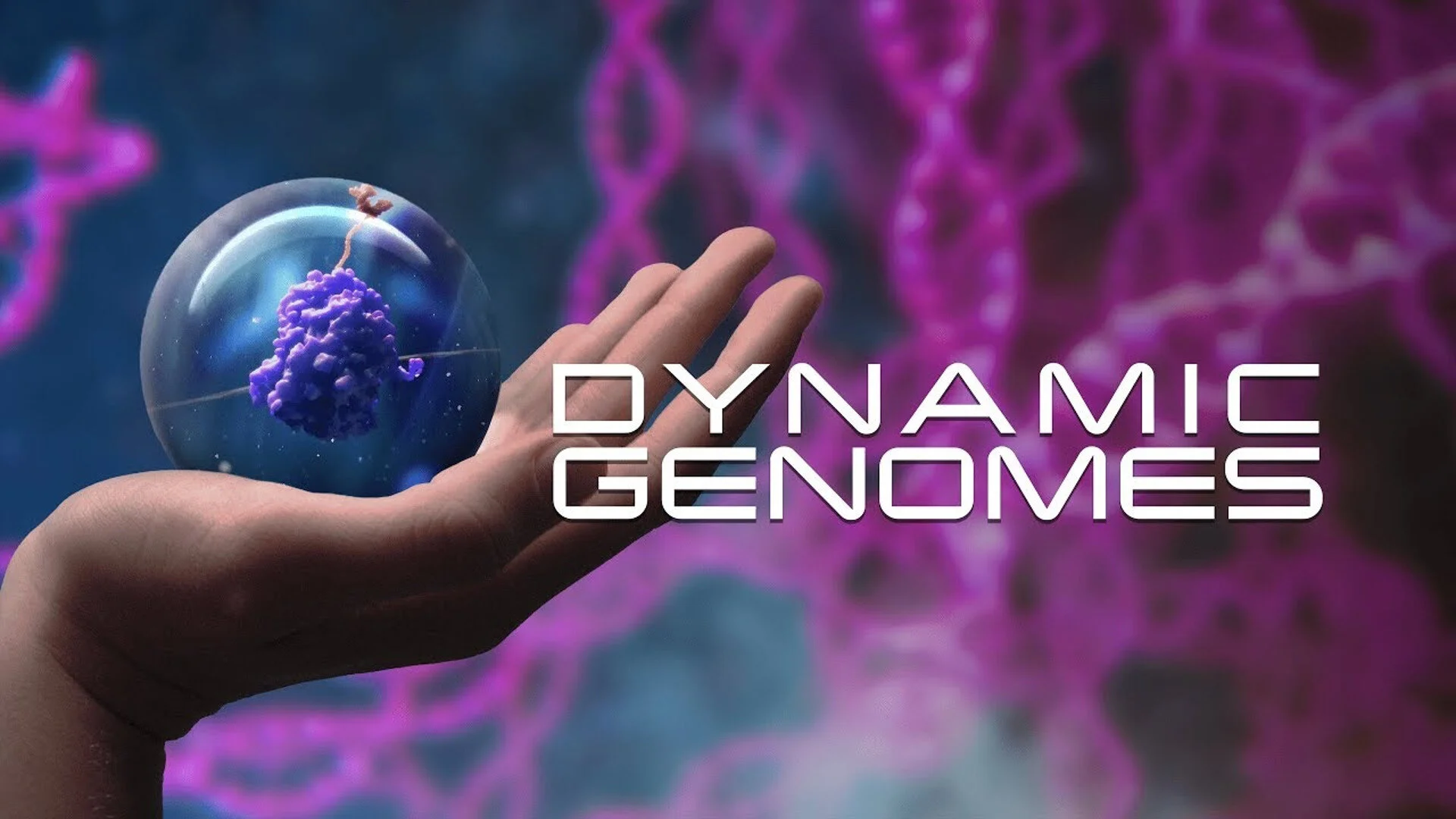 Dynamic Genomes