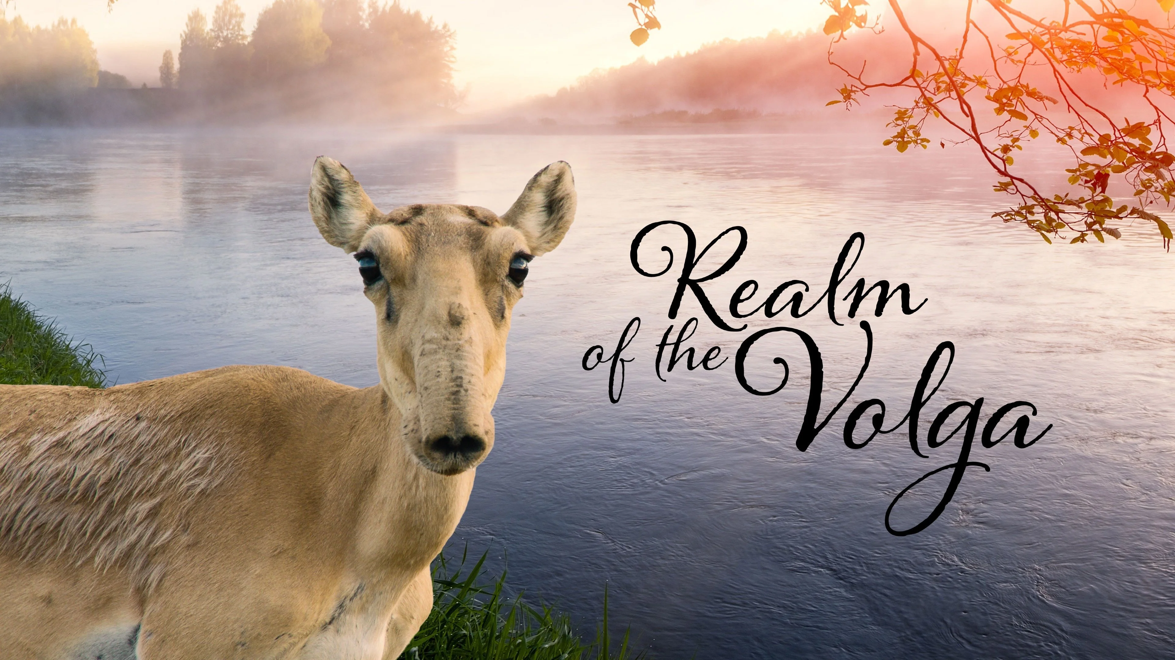Realm of the Volga