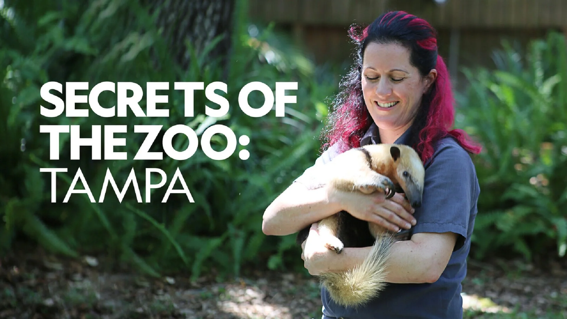Secrets of the Zoo: Tampa