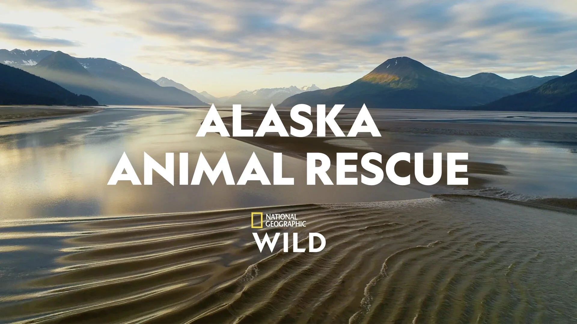 Alaska Animal Rescue