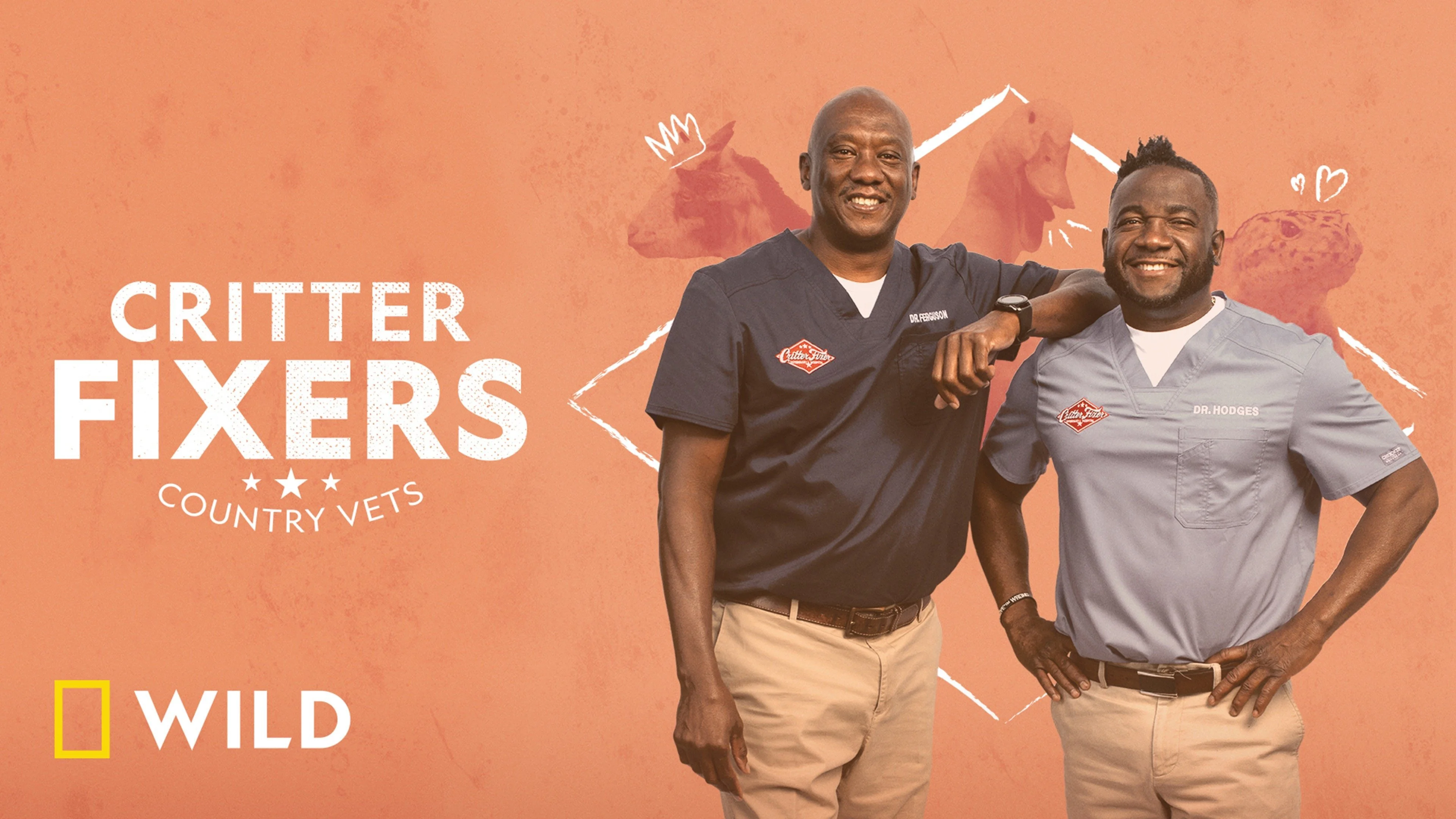 Critter Fixers: Country Vets