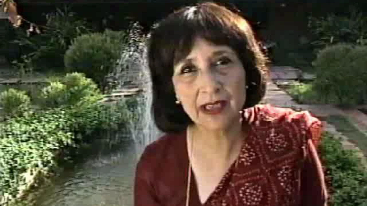 Madhur Jaffrey's Flavours of India