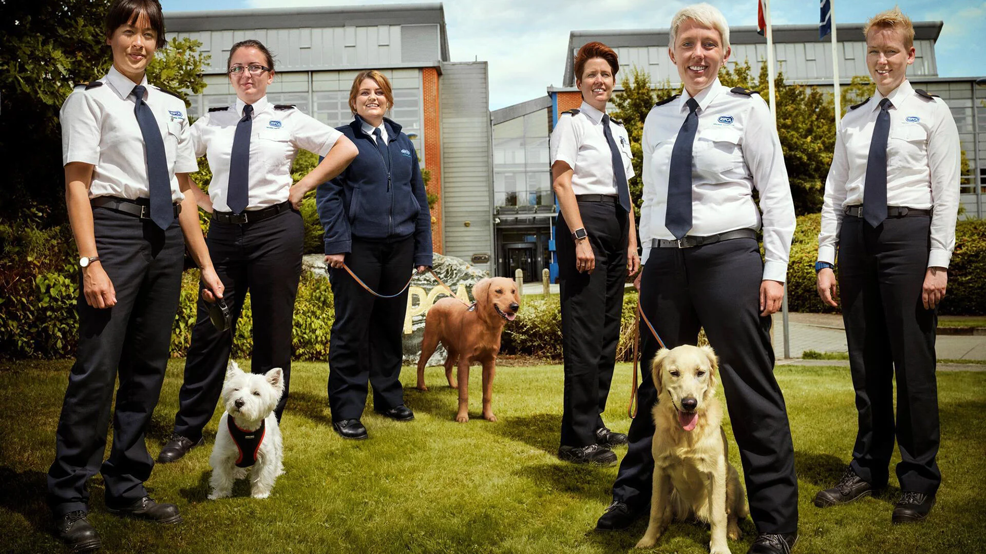 Animal Rescue School