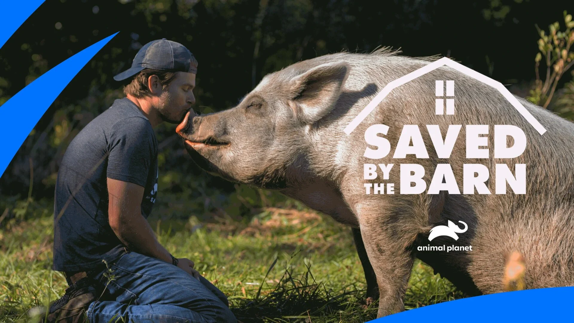 Saved by the Barn
