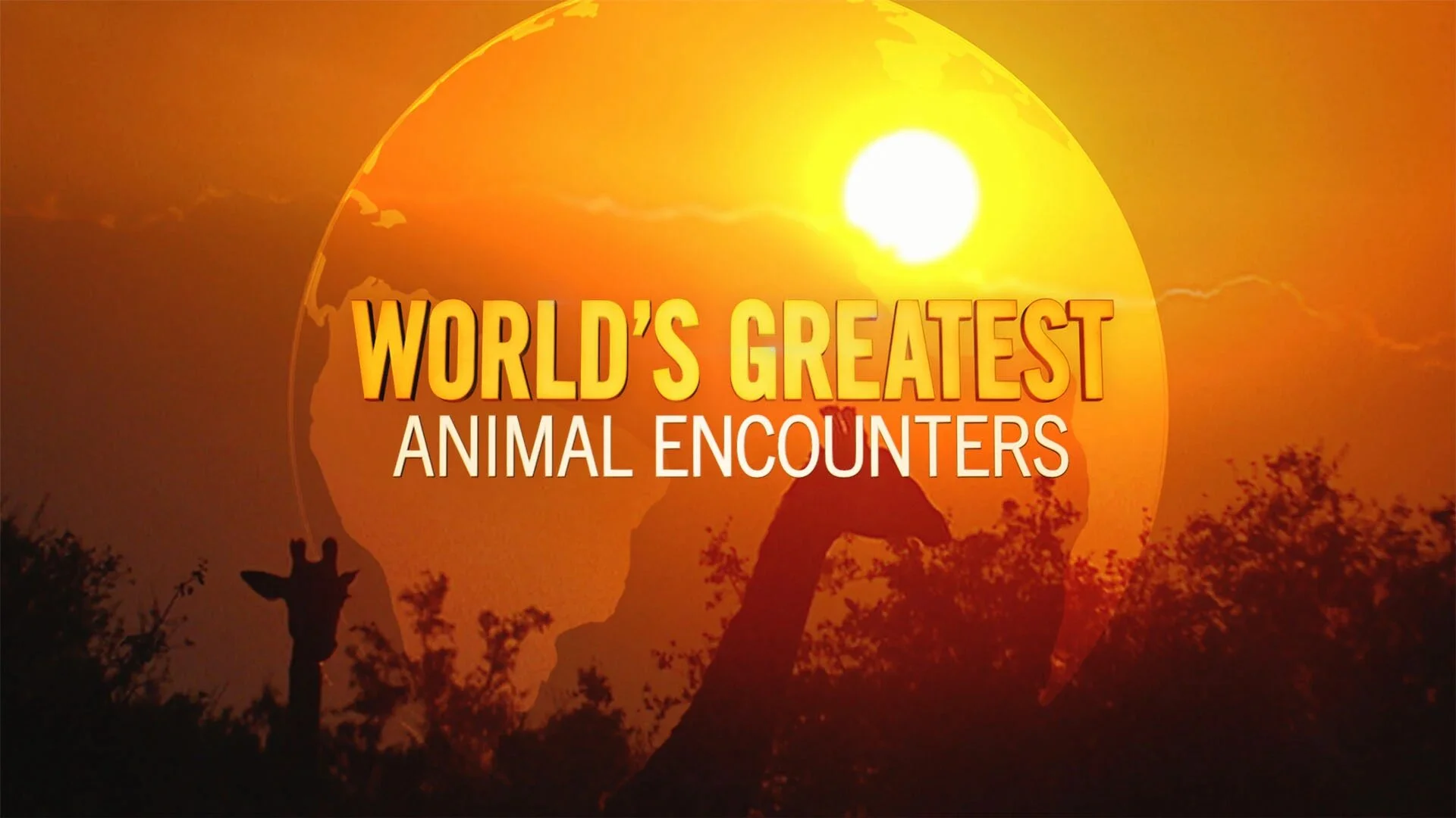World's Greatest Animal Encounters