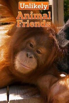 Poster di Unlikely Animal Friends
