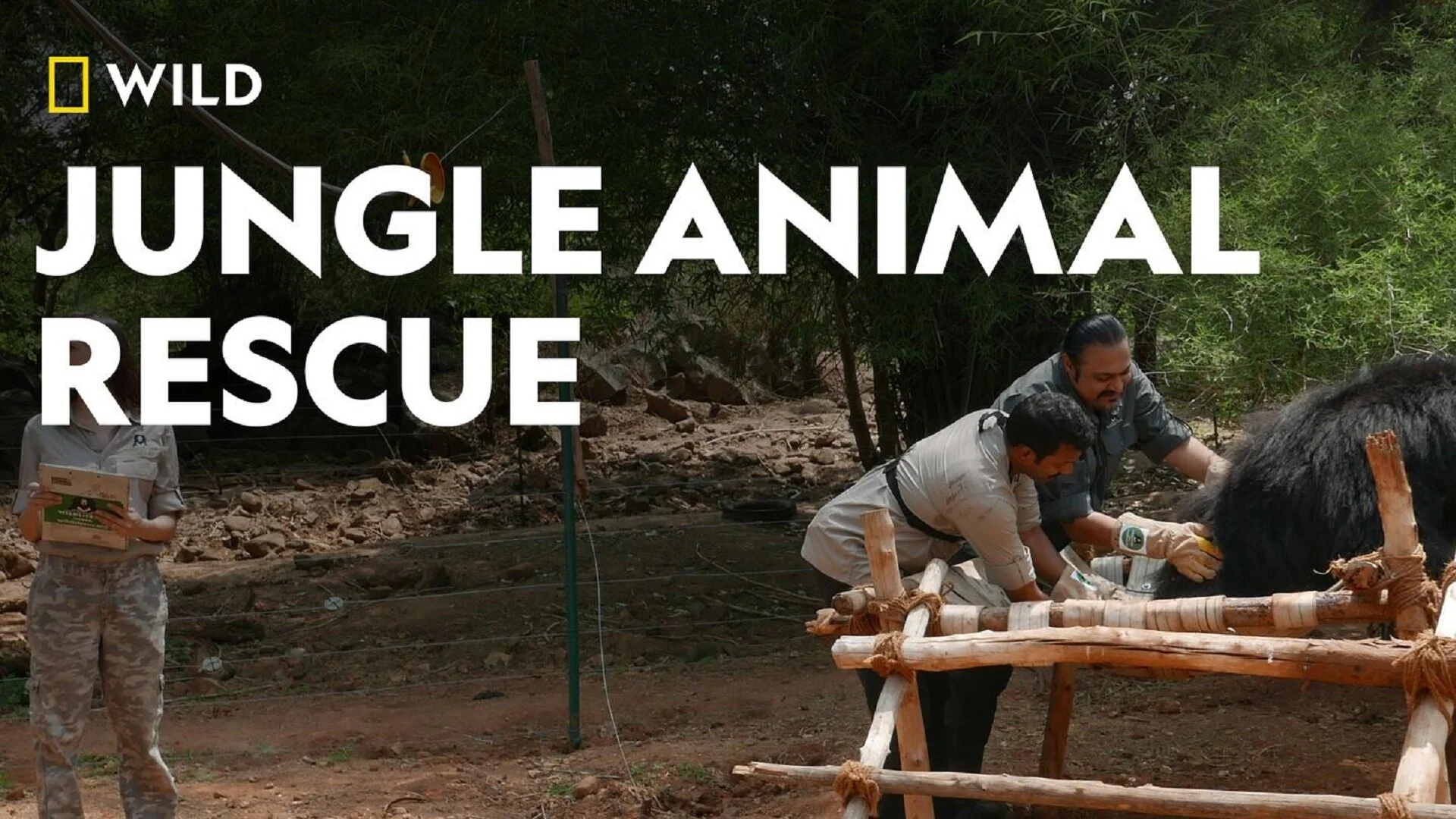 Jungle Animal Rescue