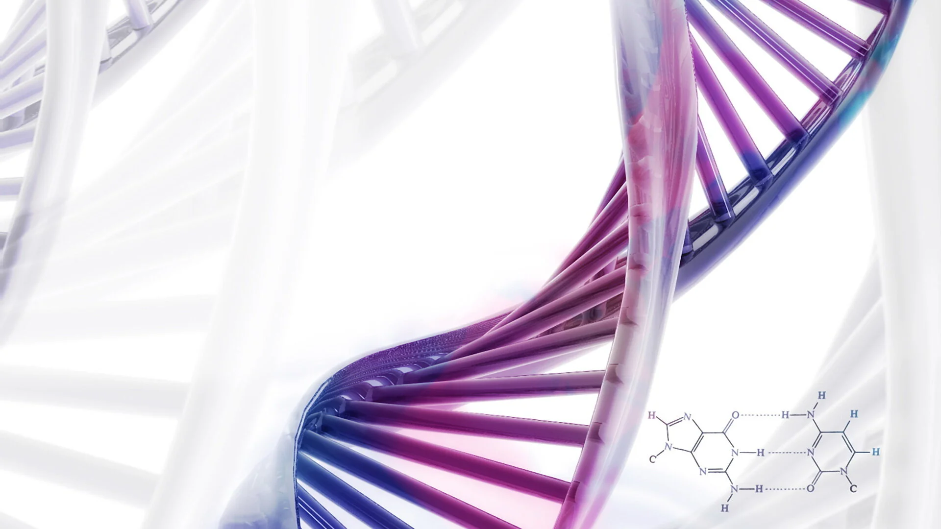 How to Build a Human