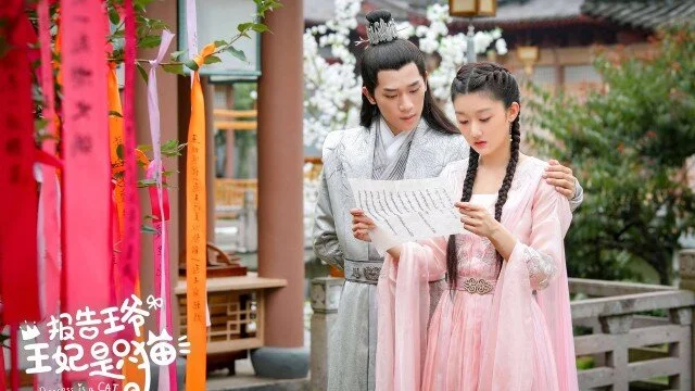 My Fantastic Mrs. Right