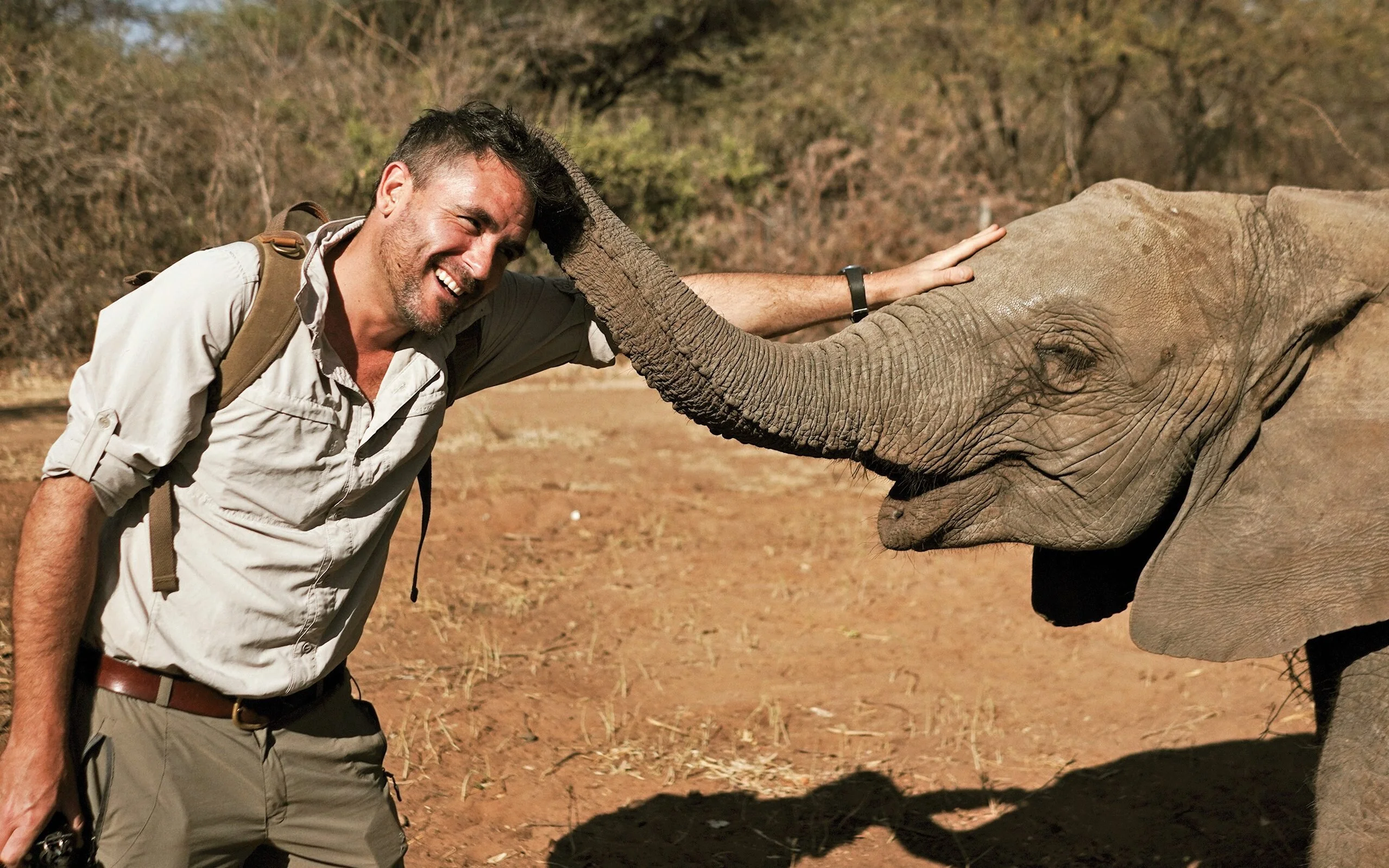 Walking with Elephants