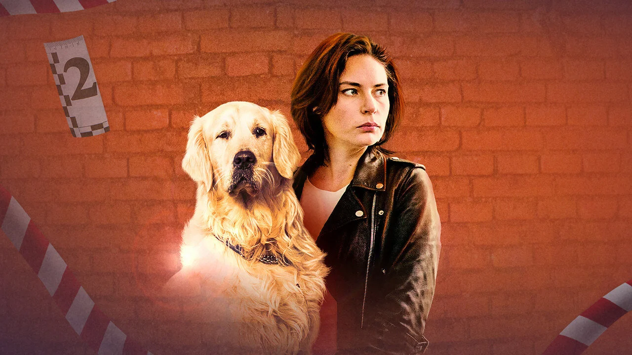 ÄĹˇÄÂ°Ĺâ€šĹĹą ÄÂ¸ Äâ€ÄÂ»ĹĹ¤ÄĹź