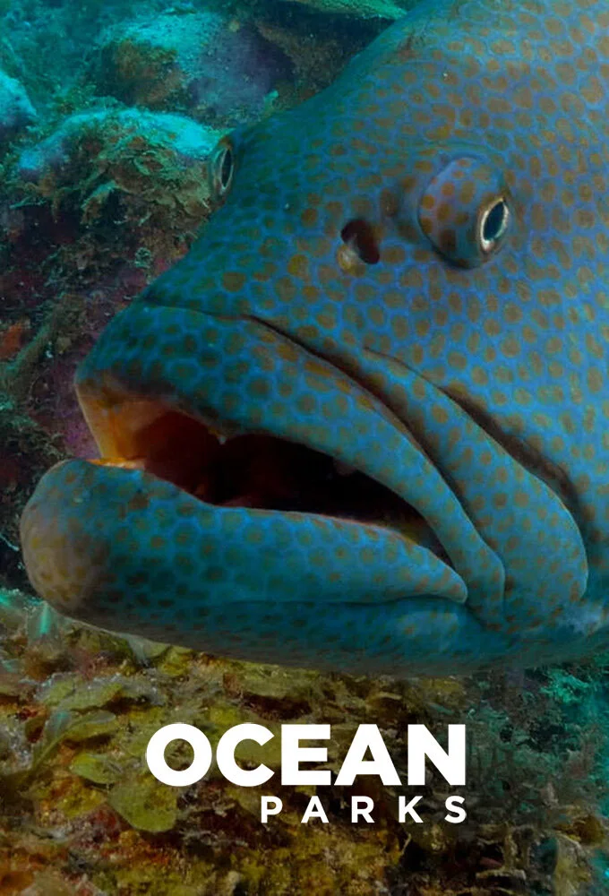 Póster de Ocean Parks