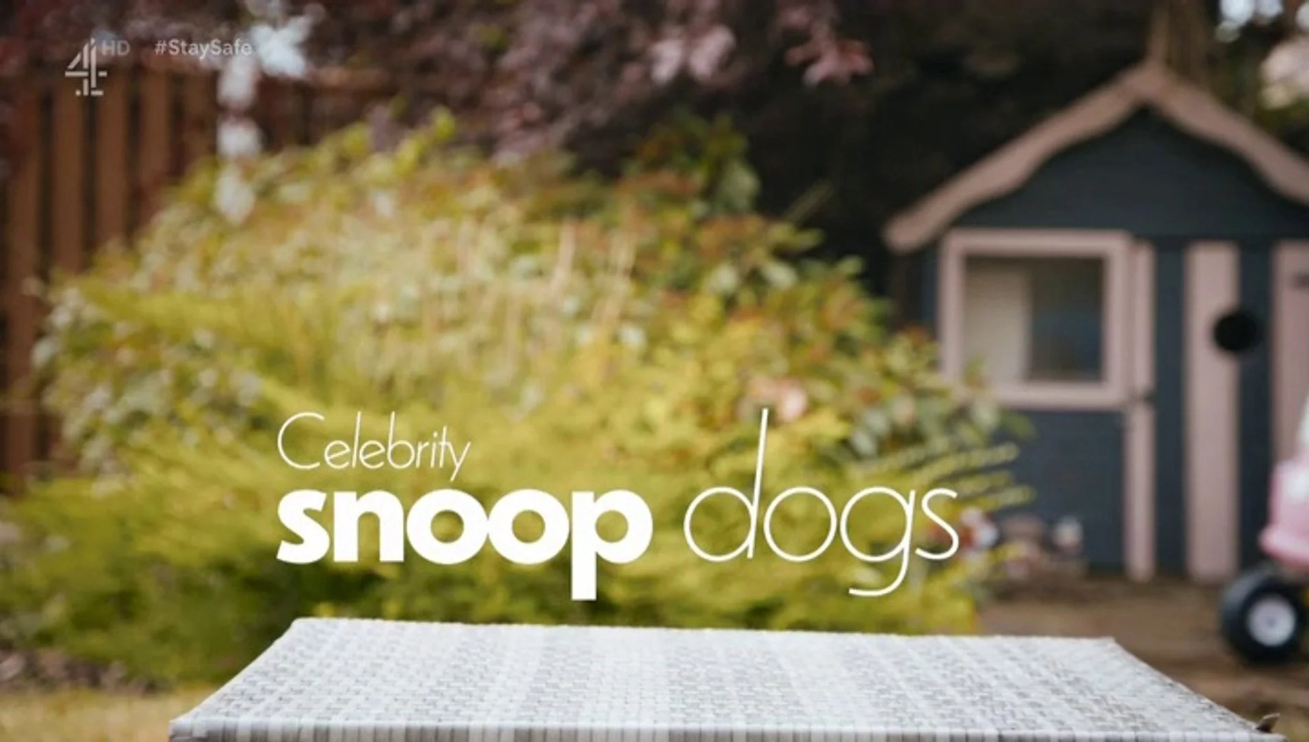 Celebrity Snoop Dogs