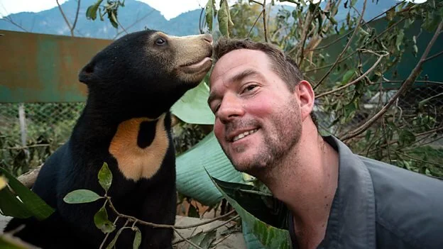 Bears About the House